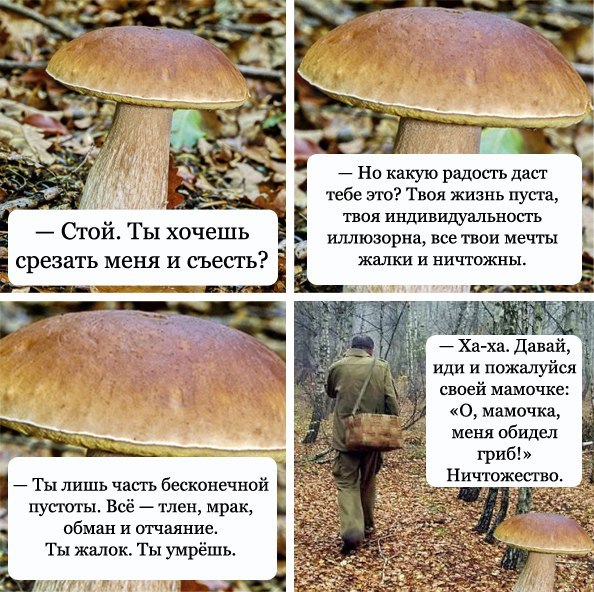 Странный гриб